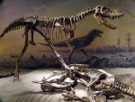 Drumheller: dino-museum